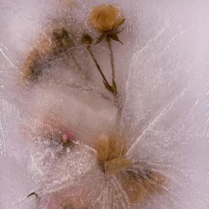 Qui con me (feat. A-Kurt) (Explicit)