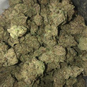 Wholesale (Explicit)