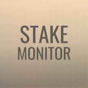 Stake Monitor