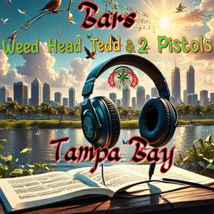 Bars... Tampa Bay