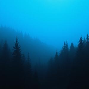 follow my heart (slowed + reverb)