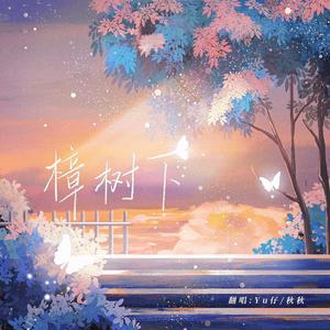 樟树下（广播剧《以你为名的夏天》主题曲）