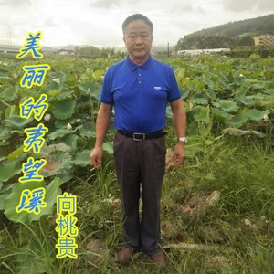 美丽的夷望溪