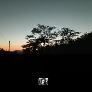 GWAPP (feat. TOUCAN LANEZ) (Explicit)