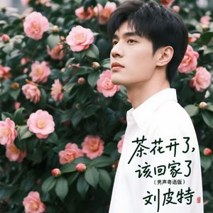 茶花开了，该回家了-刘皮特