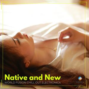 Native and New: World Fusion Chill Out Electronica