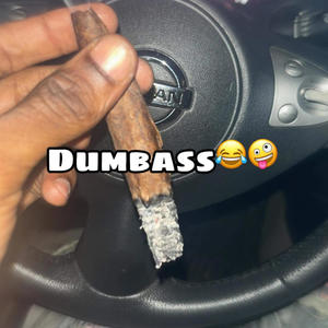 Dumbass (feat. Pooman sb, Bg Kenny & Ebe tray) [Explicit]