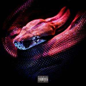 Pythons (Explicit)