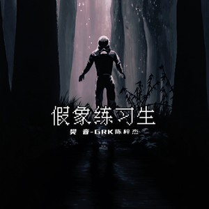 假象练习生 (伴奏)