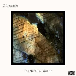 Too Much To Trust EP