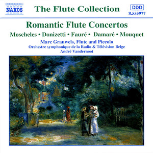 Flute Concertos (Romantic)