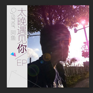 太晚遇见你
