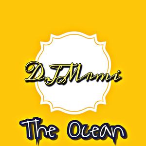 Mike Perry Ft Shy Martin - DJMrmi-The Ocean (Knock You Out)- Mike Perry Ft Shy Martin
