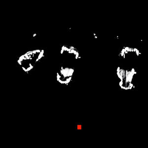 crash dummy (Explicit)