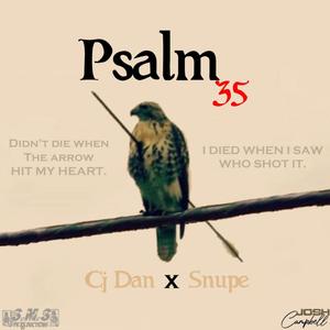 Psalm 35(feat. Snupe)
