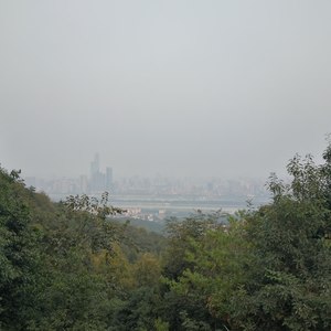 有你陪着就够了