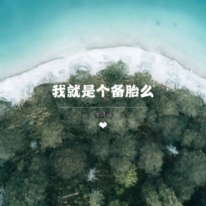 我就是个备胎么