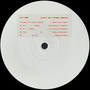 Dreams Of A Digital Sublime (Roza Terenzi Remix)