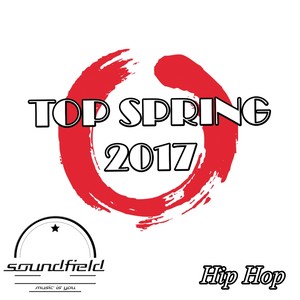 Hip Hop Top Spring 2017