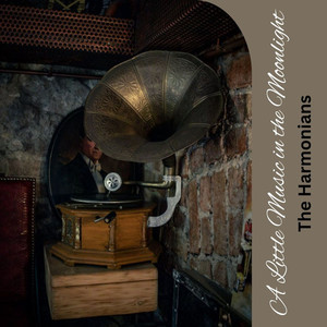 A Little Music in the Moonlight