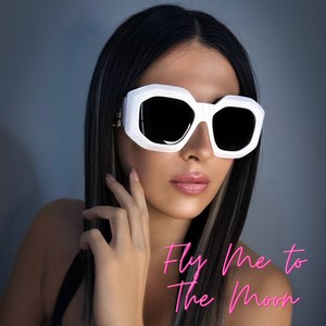 Fly me To The Moon