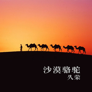 你的婚礼 三杯酒