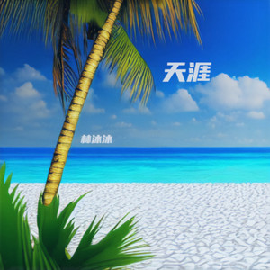 天涯-林沐沐