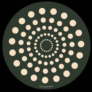 A Funkadelic House (FEDO Remix)