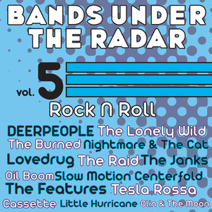 Bands Under the Radar, Vol. 5: Rock n Roll