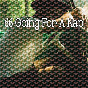 66 Going For a Nap