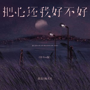 把心还我好不好 (DJ Eva版)
