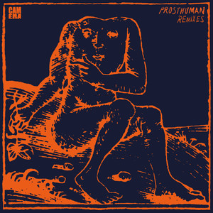 Prosthuman (extnddntwrk Remix)