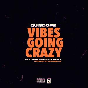 Vibes Going Crazy (Explicit)