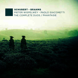 Fantasy in C for Cello and Piano, D. 934: Andante molto