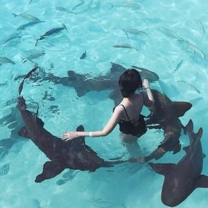 秦澤旭啊 - 灌伤害片片花战损版(鸽子压力之歌)