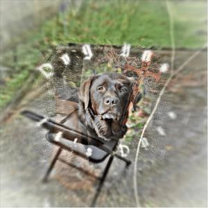 Patience is Key (feat. lil yam) (Explicit)