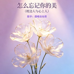 怎么忘记你的美（枕边人与心上人 ） - 烟嗓吉他哥封面