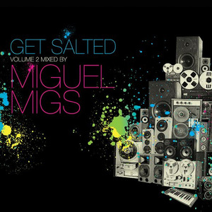 Miguel Migs Pres. Get Salted Volume 2