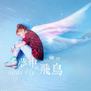 梦中的飞鸟
