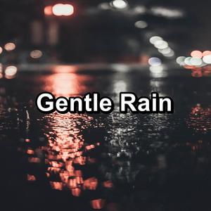 Gentle Rain