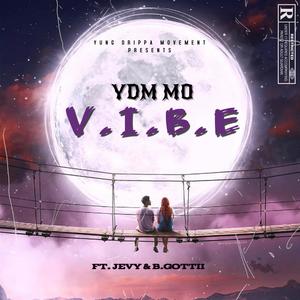 V.I.B.E (feat. Jevy & B.GOTTII) (Explicit)