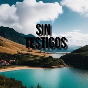 Sin Testigos