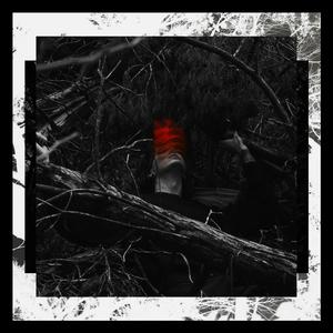 PULLED INTO THE MOB (feat. Lane Strange) (Explicit)