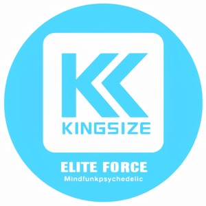 Mindfunkpsychedelic (Jesse Rose Remix)