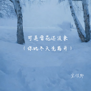 可是雪花还没来 (你比冬天先离开)