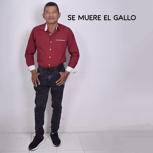 SE MUERE EL GALLO
