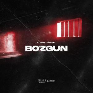 Bozgun