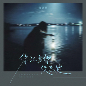 向思思 - 你说当你没来过 (纯享版)