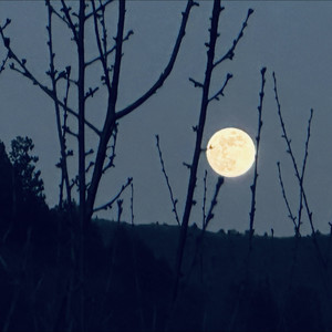 一个村里来的小伙