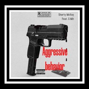 Aggressive behavior (Explicit)